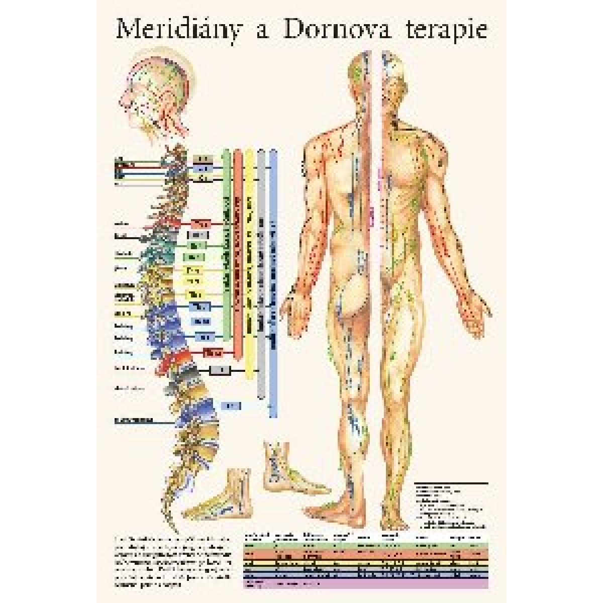 
            Mapa - Meridiány a Dornova terapie